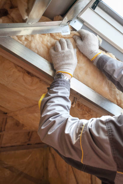 Best Commercial Insulation in Versailles, PA