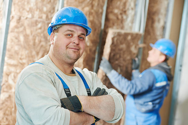 Best Eco-Friendly Insulation in Versailles, PA